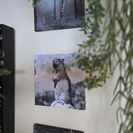 Gemuetliches Alpen-apartment Fuer 2, Direkt An Der Piste, Saas-Fee