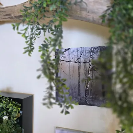 Gemuetliches Alpen-apartment Fuer 2, Direkt An Der Piste,