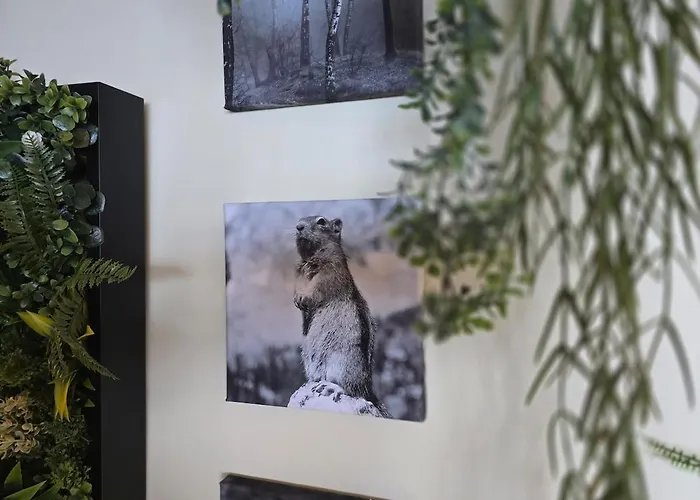 Gemuetliches Alpen-apartment Fuer 2, Direkt An Der Piste, 萨斯费